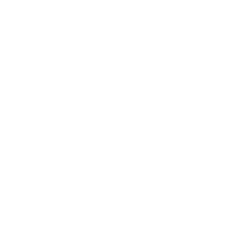 watermark